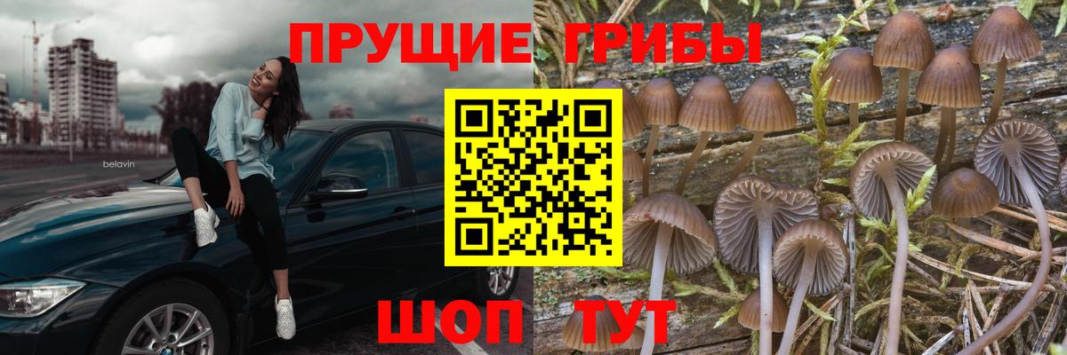 Галлюциногенные грибы ЛСД  Вход с VPN  как найти наркотики  Галлюциногенные грибы мицелий  Унеча 